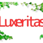 Thumbnail of post image 019